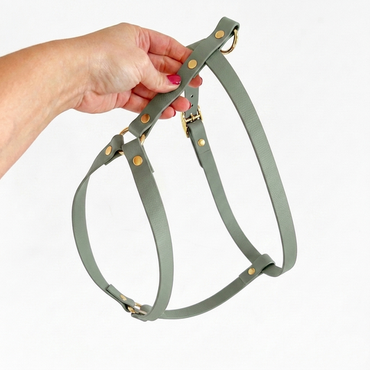 Biothane® H-Harness Sage