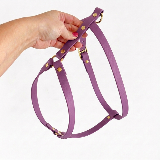 Biothane® Amethyst H-Harness