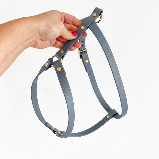 Biothane® Petrol H-Harness