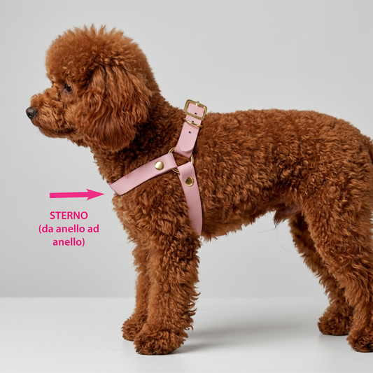 Bicolour Wine and Light Brown Biothane® Y-Harness