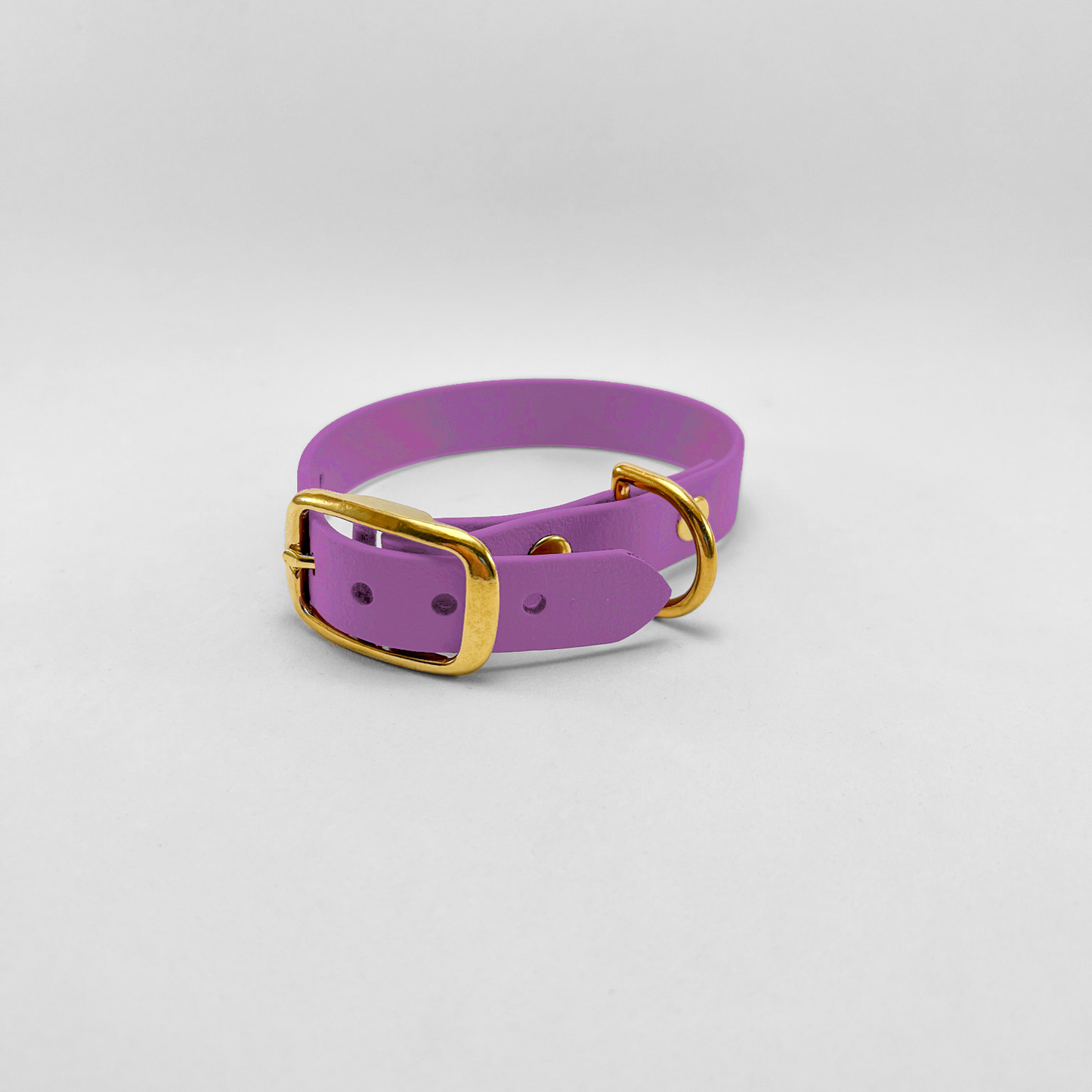 Collare in Biothane® Amethyst