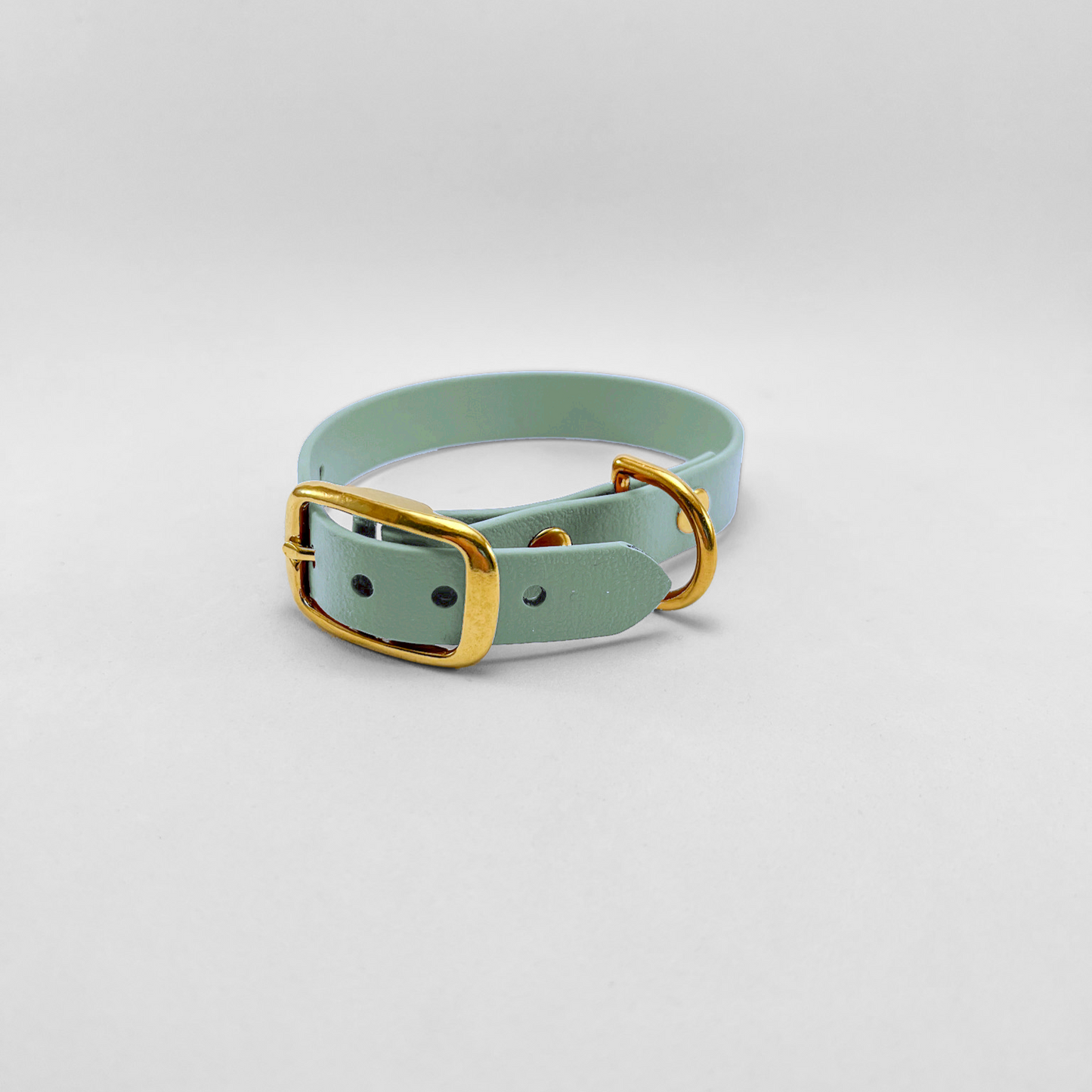 Collare in Biothane® Salvia