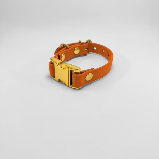 Collare in Biothane® Apricot