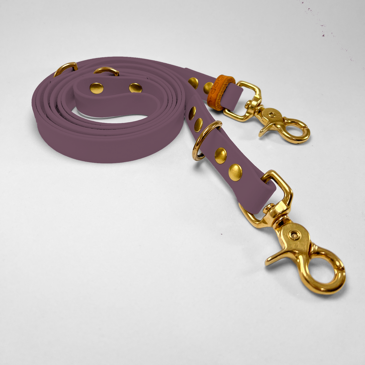 Guinzaglio lunghezza regolabile 200cm in Biothane® Grape