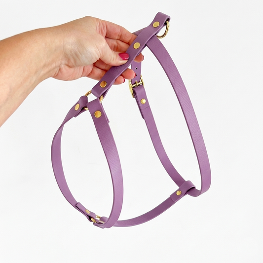 H-style Harness in Biothane® Grape