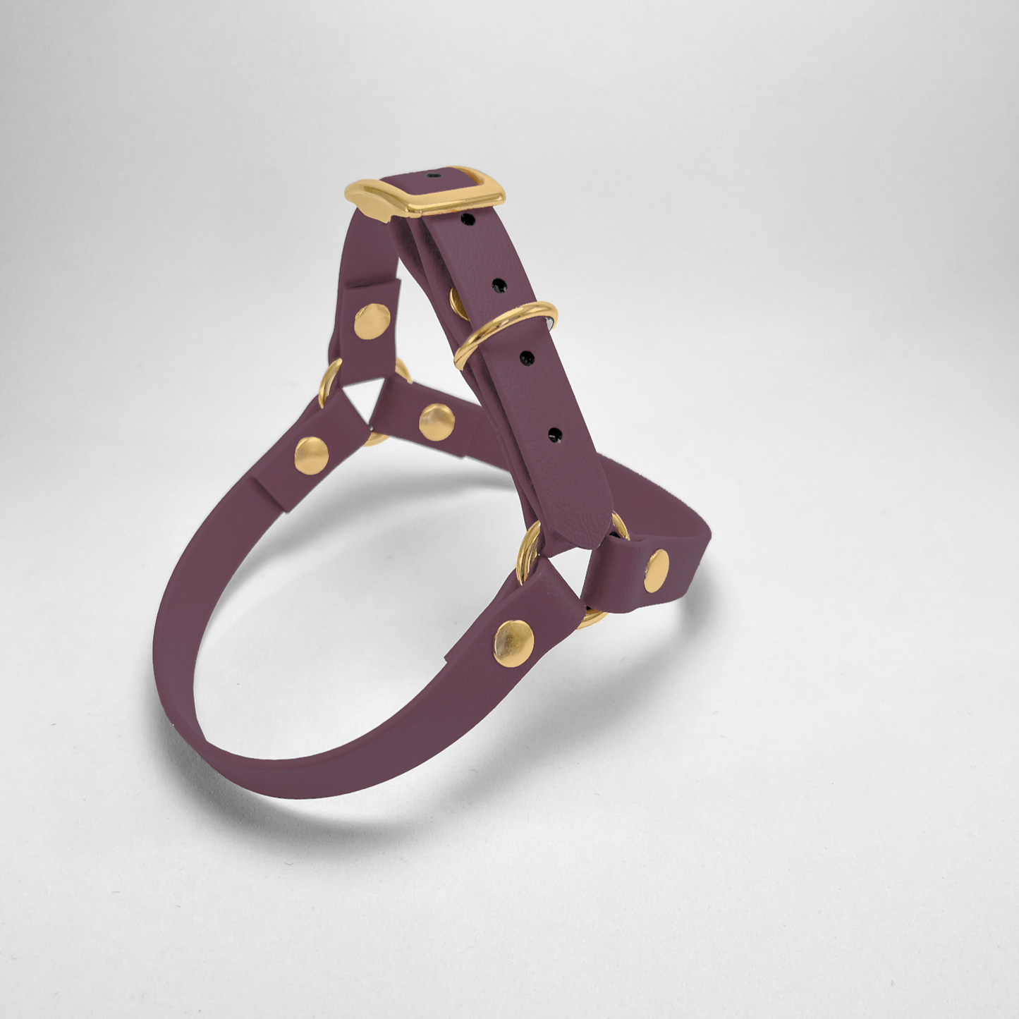 Pettorina ad Y in Biothane® Grape