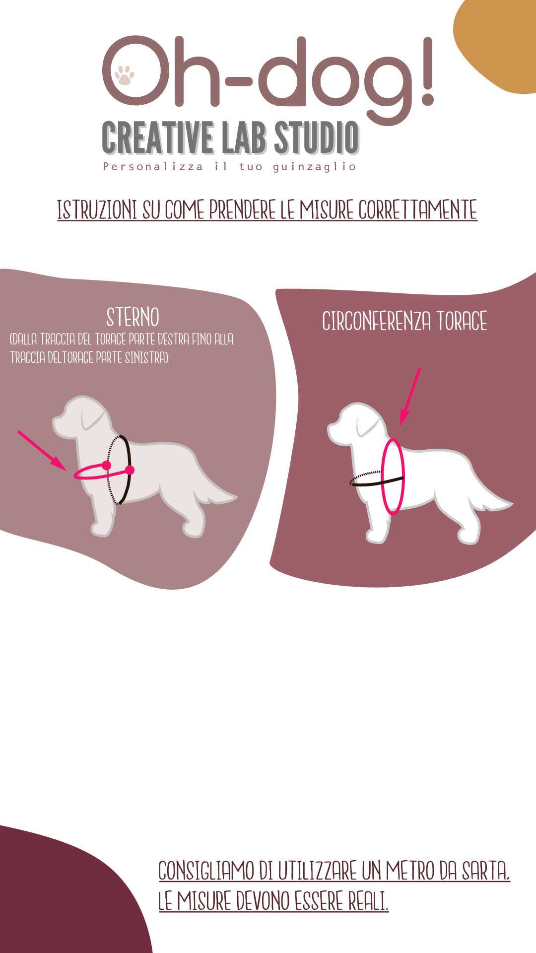 Pettorina ad Y in Biothane® Grape