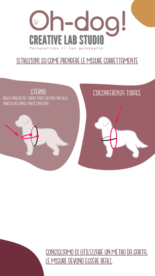 Pettorina ad Y in Biothane® Polar Blue