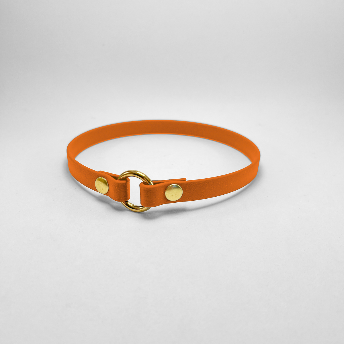 Porta medaglietta in Biothane® Apricot