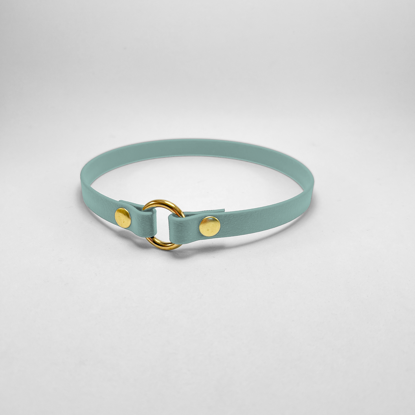 Porta medaglietta in Biothane® Salvia