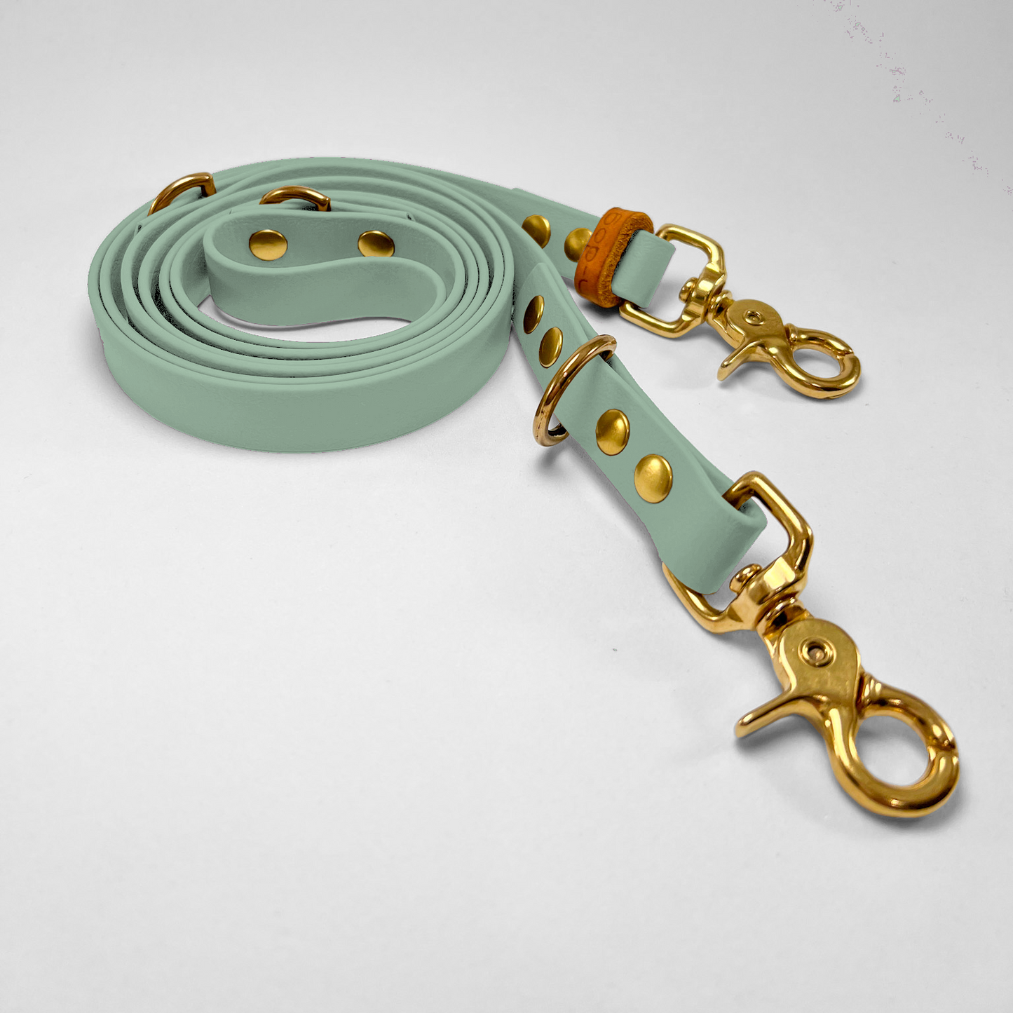 Guinzaglio lunghezza regolabile 200cm in Biothane® Salvia