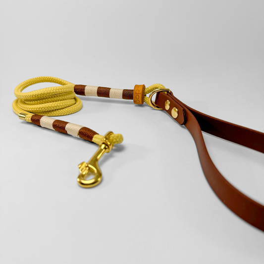 Guinzaglio corda lunghezza fissa 120cm con maniglia in Biothane® Muted Sun