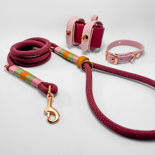 Set completo per cani di taglia MEDIO GRANDE Berry Bliss