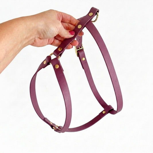Biothane® Wine H-Harness