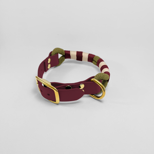 Collier à rayures en corde et Biothane®