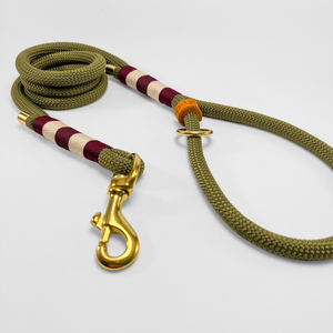 Fixed length rope leash 120cm with rope handle Stripes