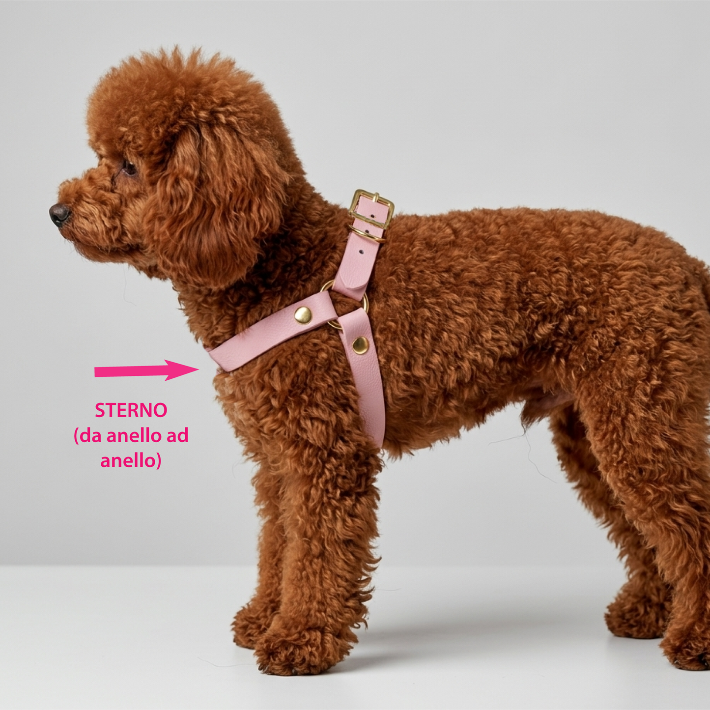 Pettorina ad Y in Biothane® Olive | Spedizione rapida