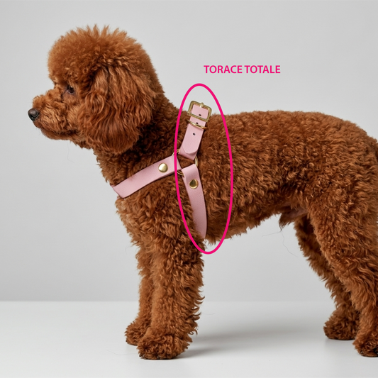 Biothane® Passion Pink Y-Harness