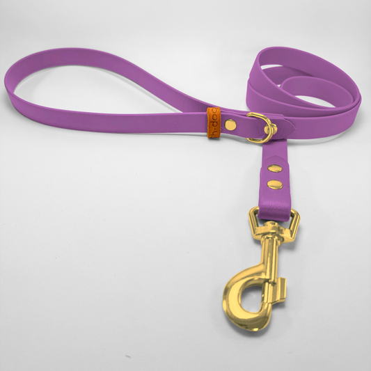 Guinzaglio lunghezza fissa 120cm in Biothane® Amethyst