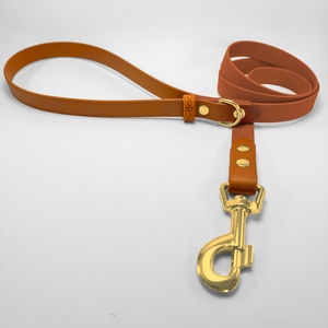 Fixed length leash 120cm in Biothane® Light Brown