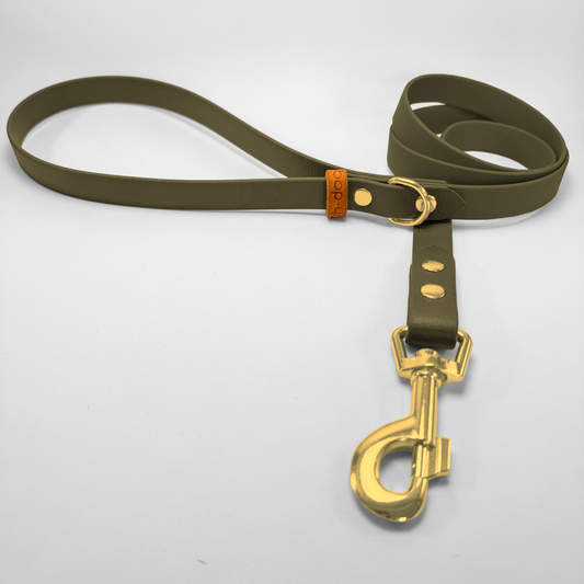 Guinzaglio lunghezza fissa 120cm in Biothane® Olive