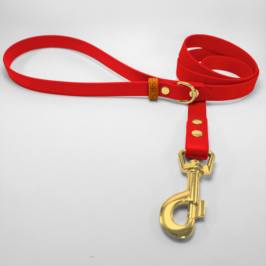 Guinzaglio lunghezza fissa 120cm in Biothane® Red