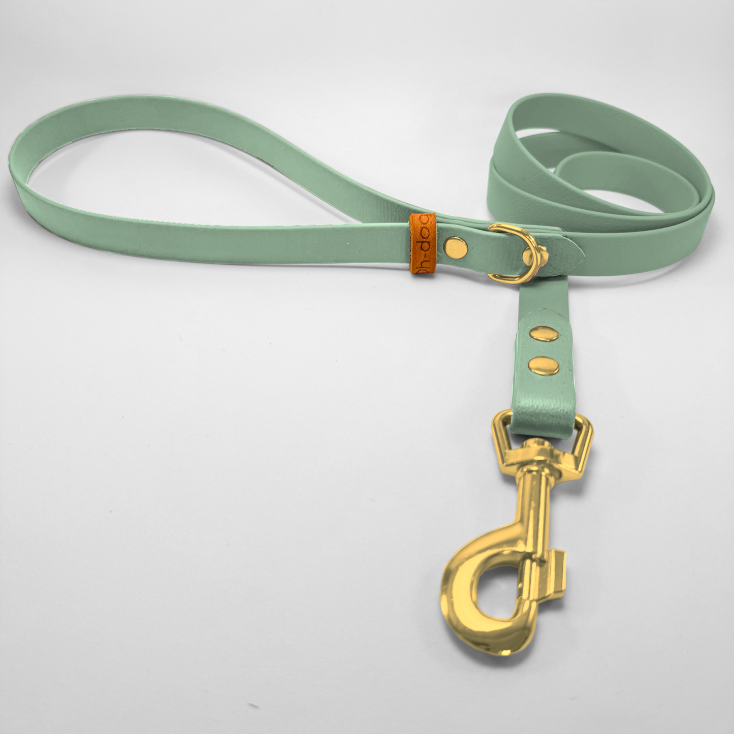 Guinzaglio lunghezza fissa 120cm in Biothane® Salvia