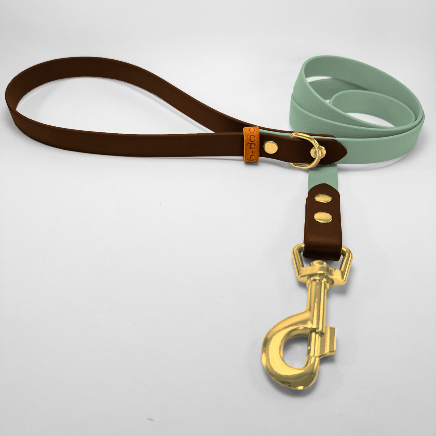 Guinzaglio lunghezza fissa 120cm in Biothane® Salvia