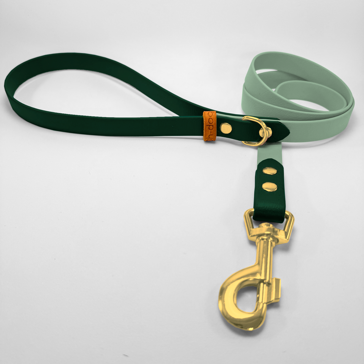 Guinzaglio lunghezza fissa 120cm in Biothane® Salvia