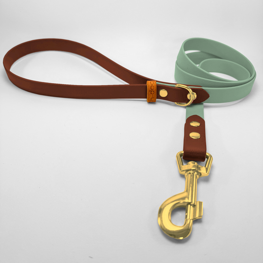 Guinzaglio lunghezza fissa 120cm in Biothane® Salvia