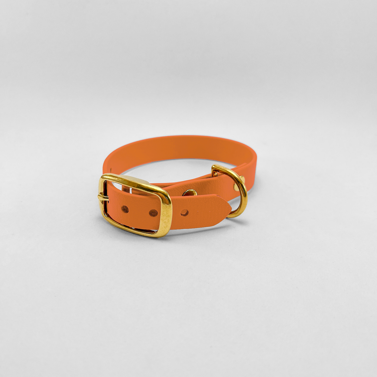 Collare in Biothane® Apricot