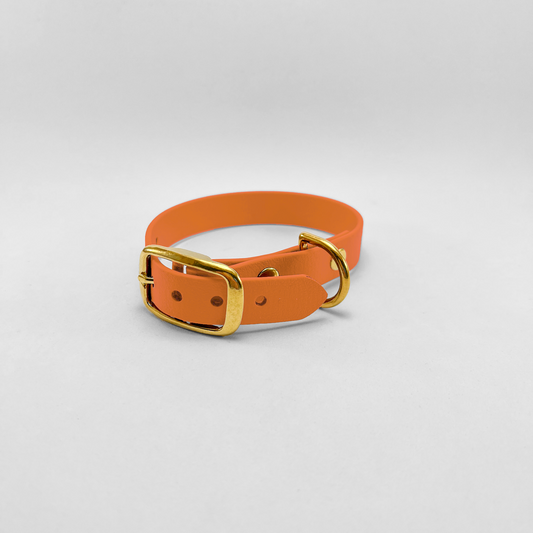 Collare in Biothane® Apricot