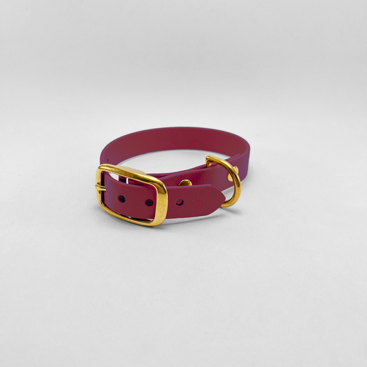 Collare in Biothane® Wine