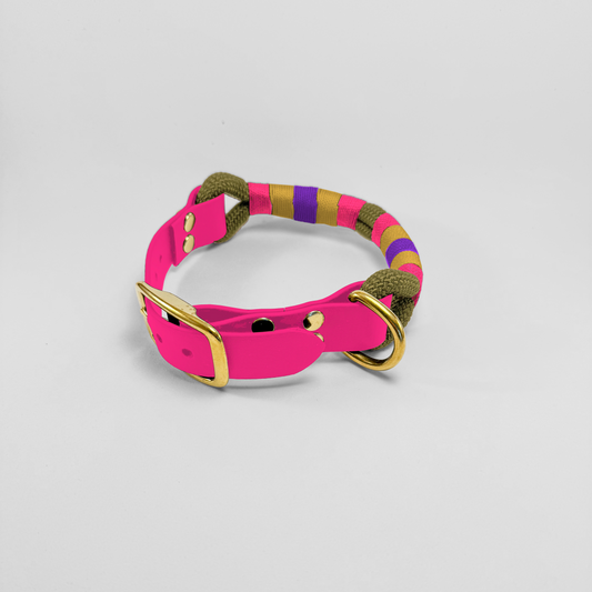 Collare in Corda e Biothane® Fluo Jungle