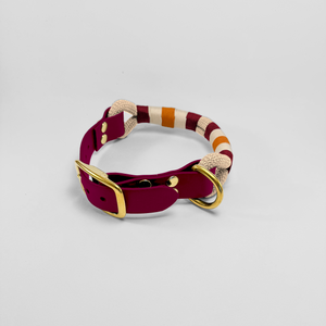 Corde Reserve et collier Biothane®