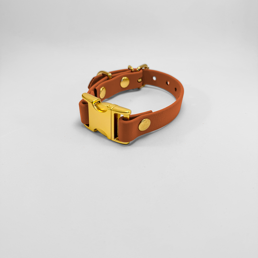 Collare in Biothane® Light Brown