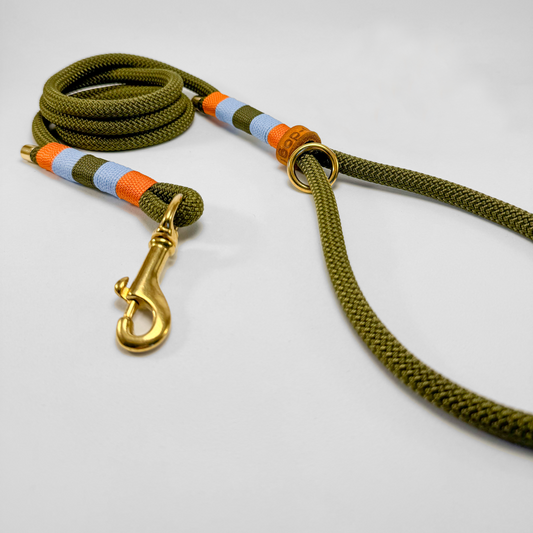 Guinzaglio corda lunghezza fissa 120cm con maniglia in corda Alpine Glow