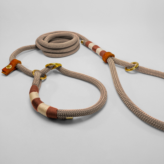 Guinzaglio da Retriever lunghezza fissa 120 cm Dust