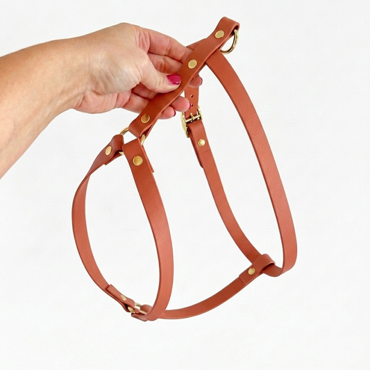 Harnais en H en Biothane® marron clair