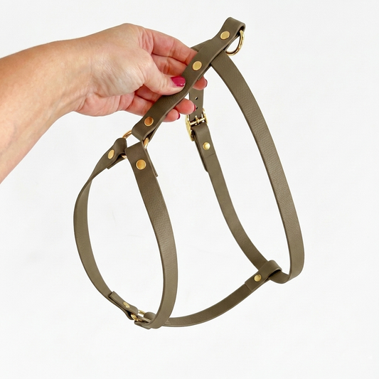 H-style Harness in Biothane® Olive