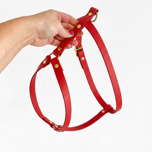 Biothane® Red H-Harness