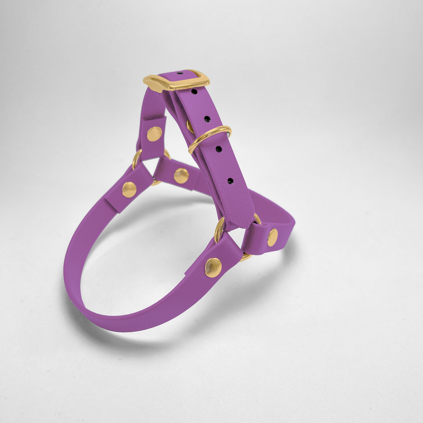 Pettorina ad Y in Biothane® Amethyst