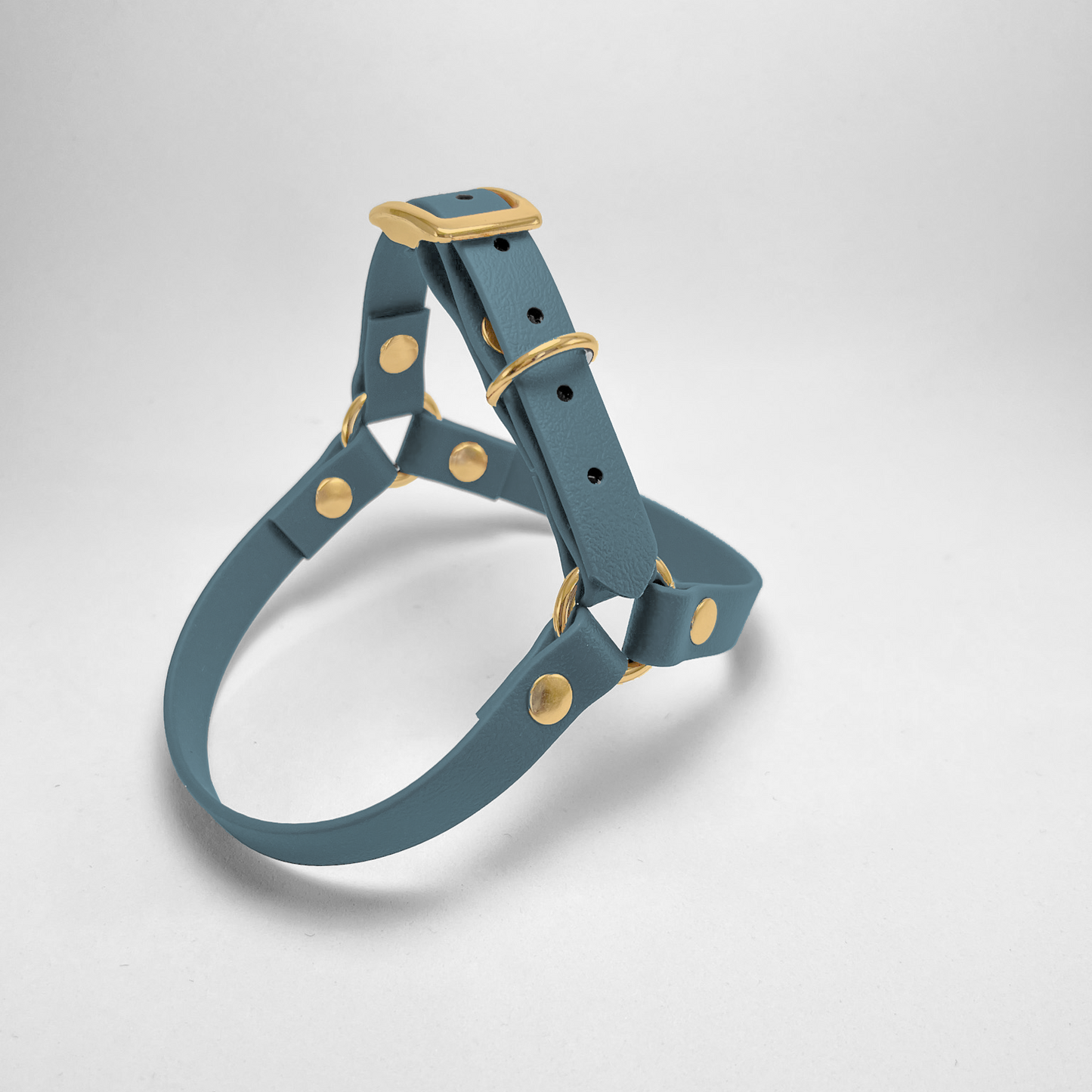 Pettorina ad Y in Biothane® Petrol