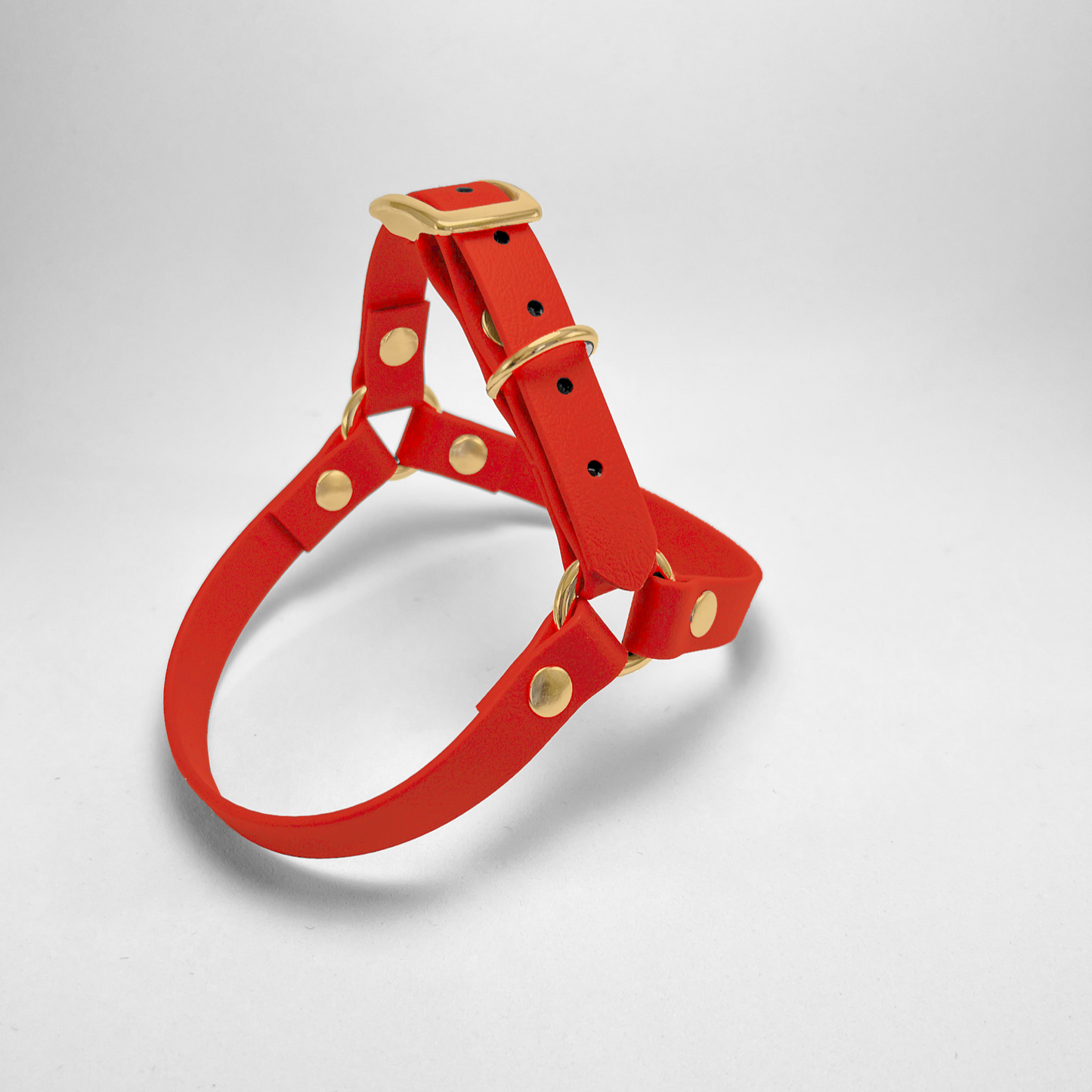 Pettorina ad Y in Biothane® Red