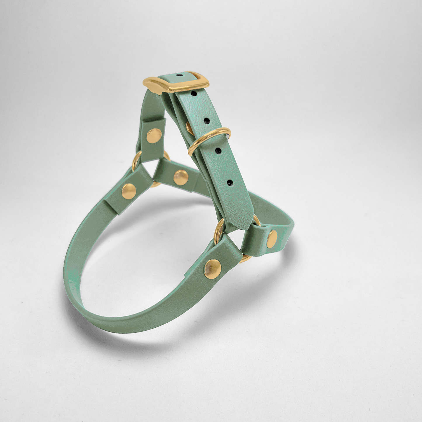 Pettorina ad Y in Biothane® Salvia