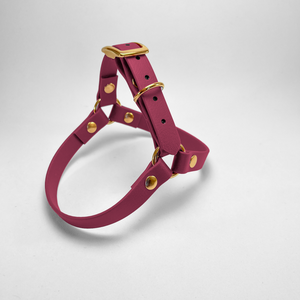 Y-shaped harness in Biothane® Wine