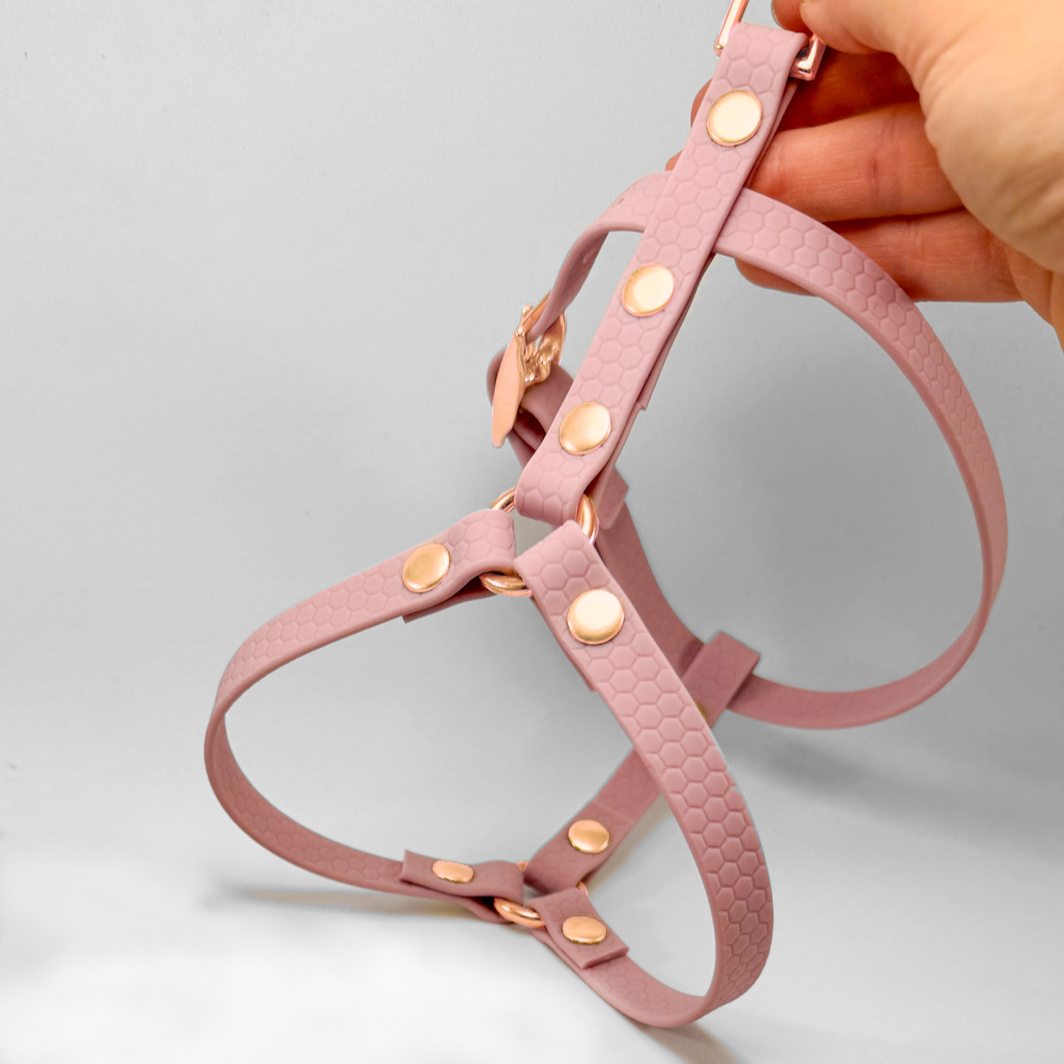 Pettorina ad H in fettuccia Hexa