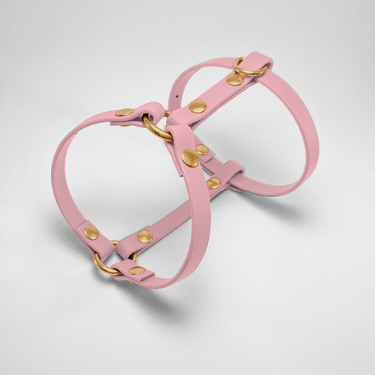 Pettorina ad H in Biothane® Cipria