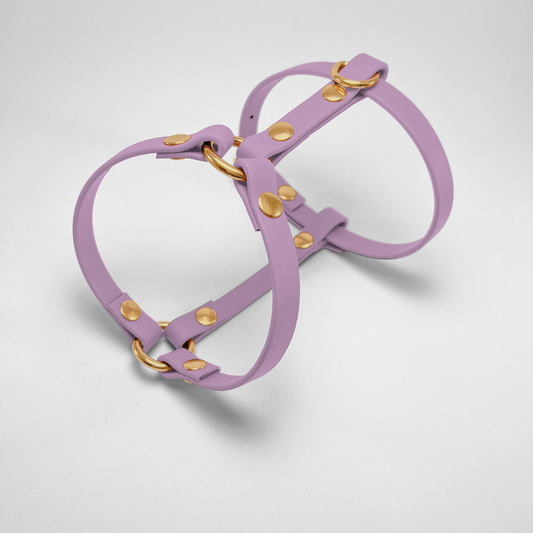 Pettorina ad H in Biothane® Pastel Purple