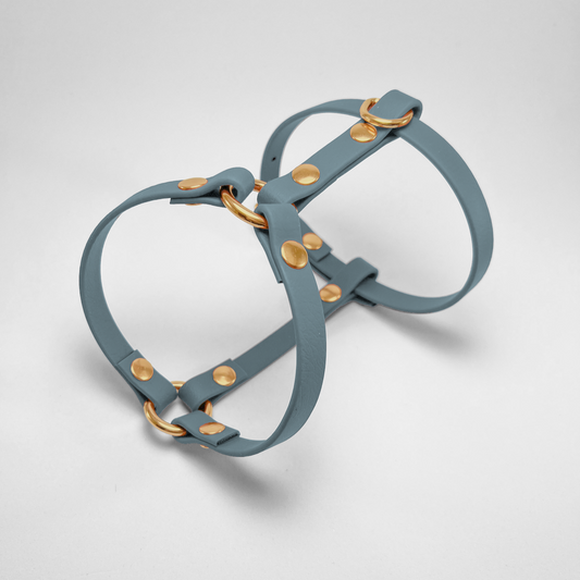 Pettorina ad H in Biothane® Petrol